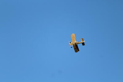IMG 1550